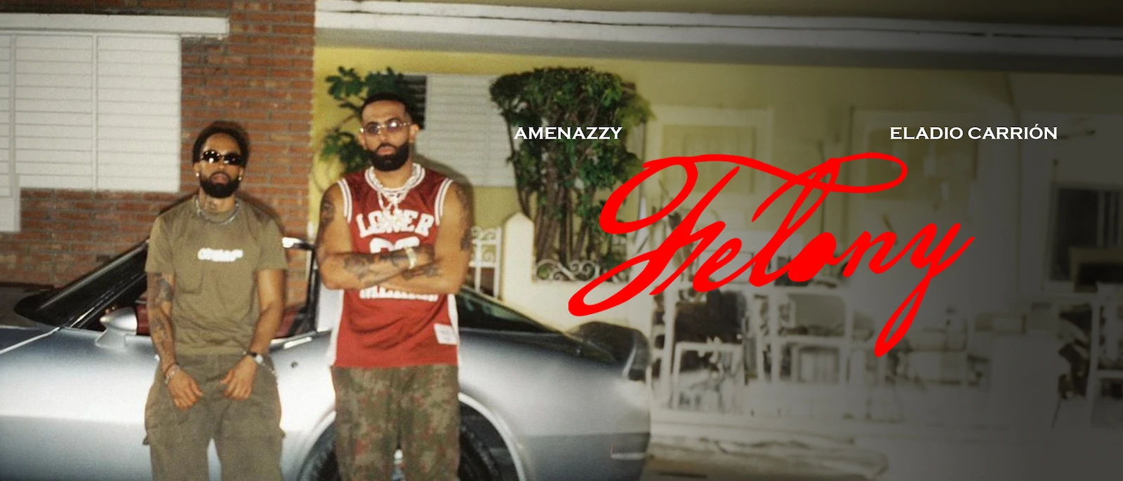 Imagen principal del asset-profesional para Felony